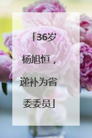 36岁杨旭恒，递补为省委委员