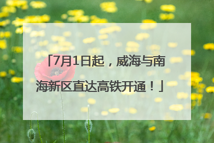 7月1日起，威海与南海新区直达高铁开通！