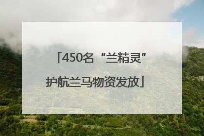 450名“兰精灵”护航兰马物资发放