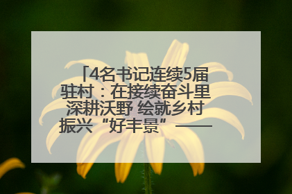 4名书记连续5届驻村：在接续奋斗里深耕沃野 绘就乡村振兴“好丰景”——浦发银行南京分行助力脱贫攻坚、帮促乡村振兴记事（二）