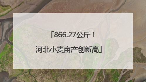 866.27公斤！河北小麦亩产创新高