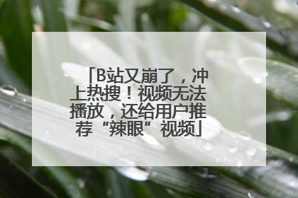 B站又崩了，冲上热搜！视频无法播放，还给用户推荐“辣眼”视频