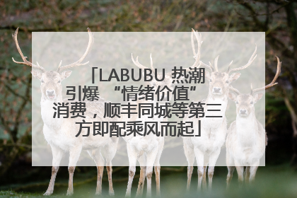 LABUBU 热潮引爆 “情绪价值” 消费，顺丰同城等第三方即配乘风而起