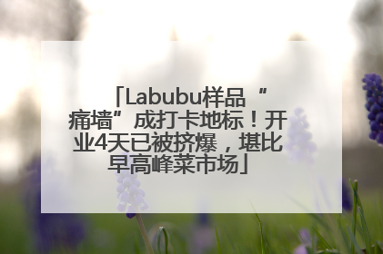 Labubu样品“痛墙”成打卡地标！开业4天已被挤爆，堪比早高峰菜市场
